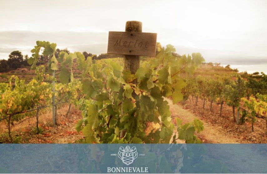 Bonnievale Wines
