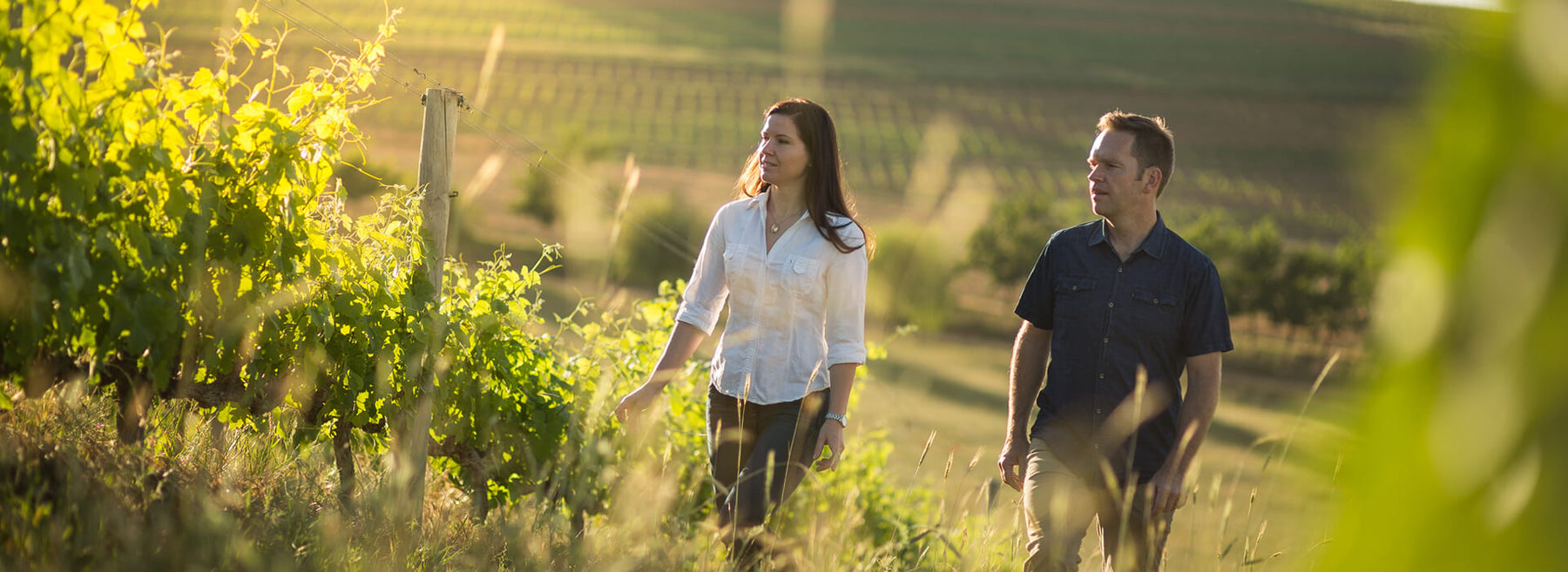 Mullineux Wines